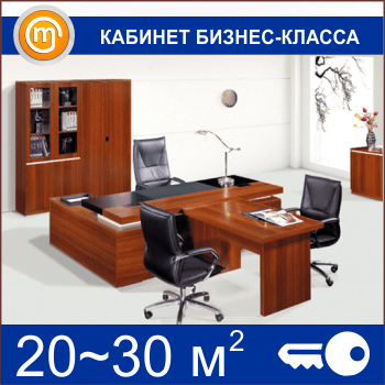 Кабинет бизнес-класса (20-30 кв.м)